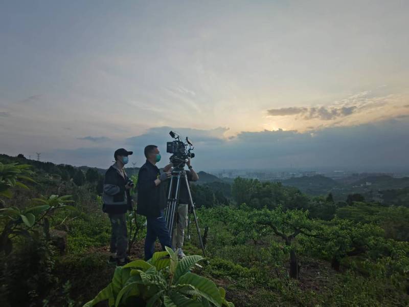 创意破圈！揭西县电商产品宣传视频用故事化叙事引爆流量